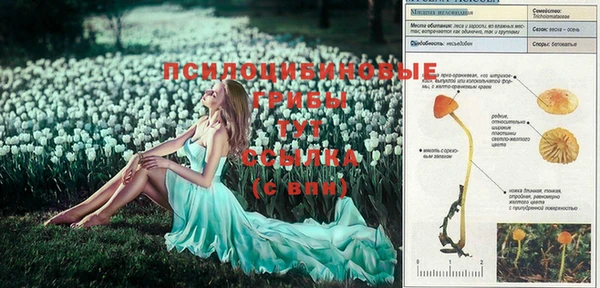 mdpv Алексеевка